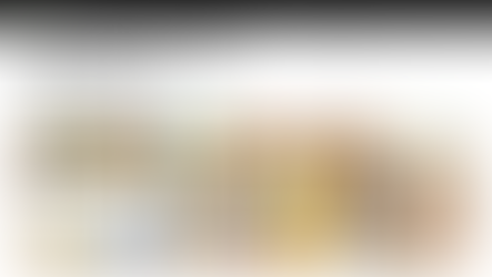 The Effects of Dropshipping: A Beginner's Guide to Understanding the Impact