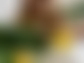 Transitioning to a Plant-Based Diet for Improved Health