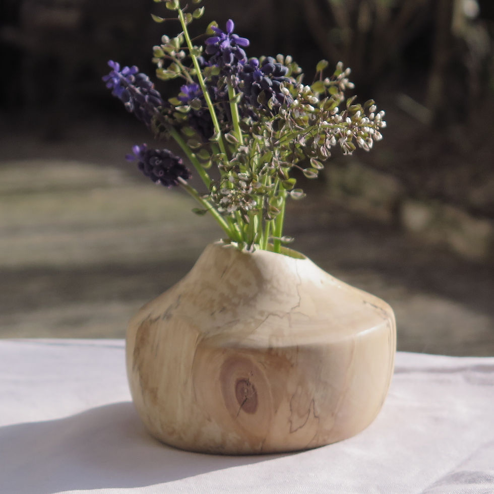 Miniature : Yinyang petit vase bouleau