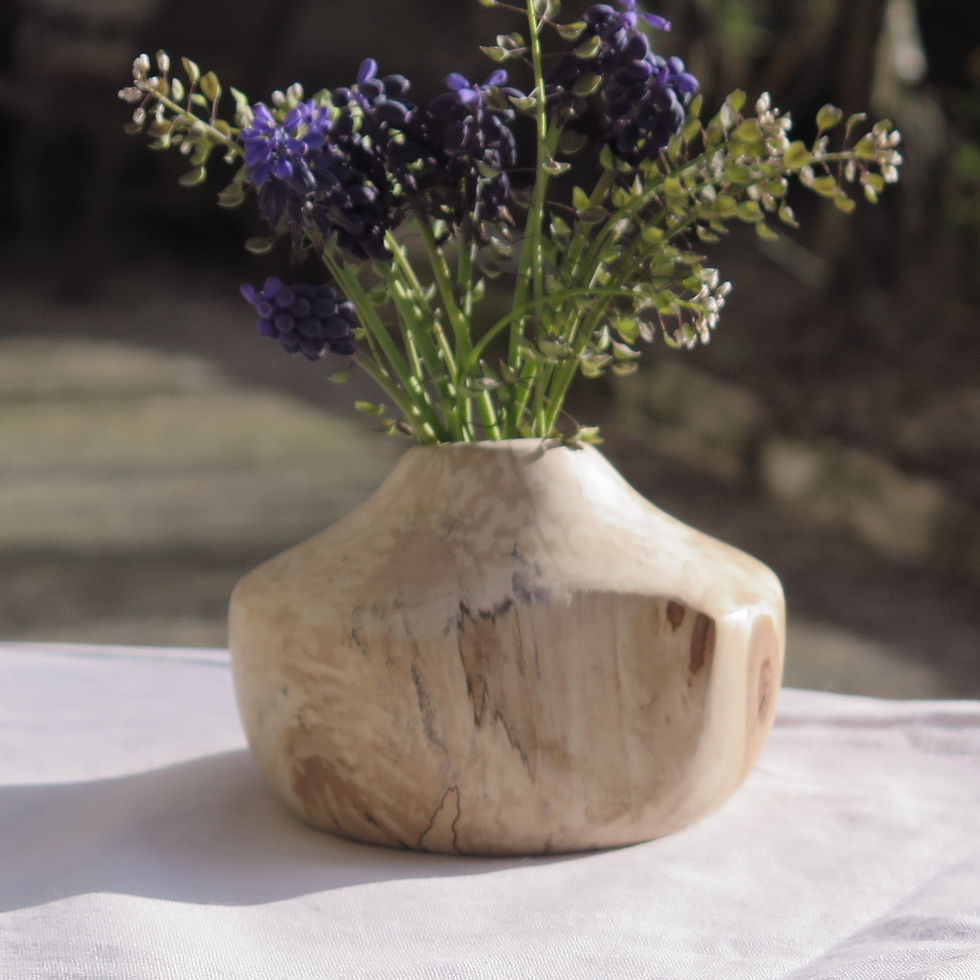 Miniature : Yinyang petit vase bouleau