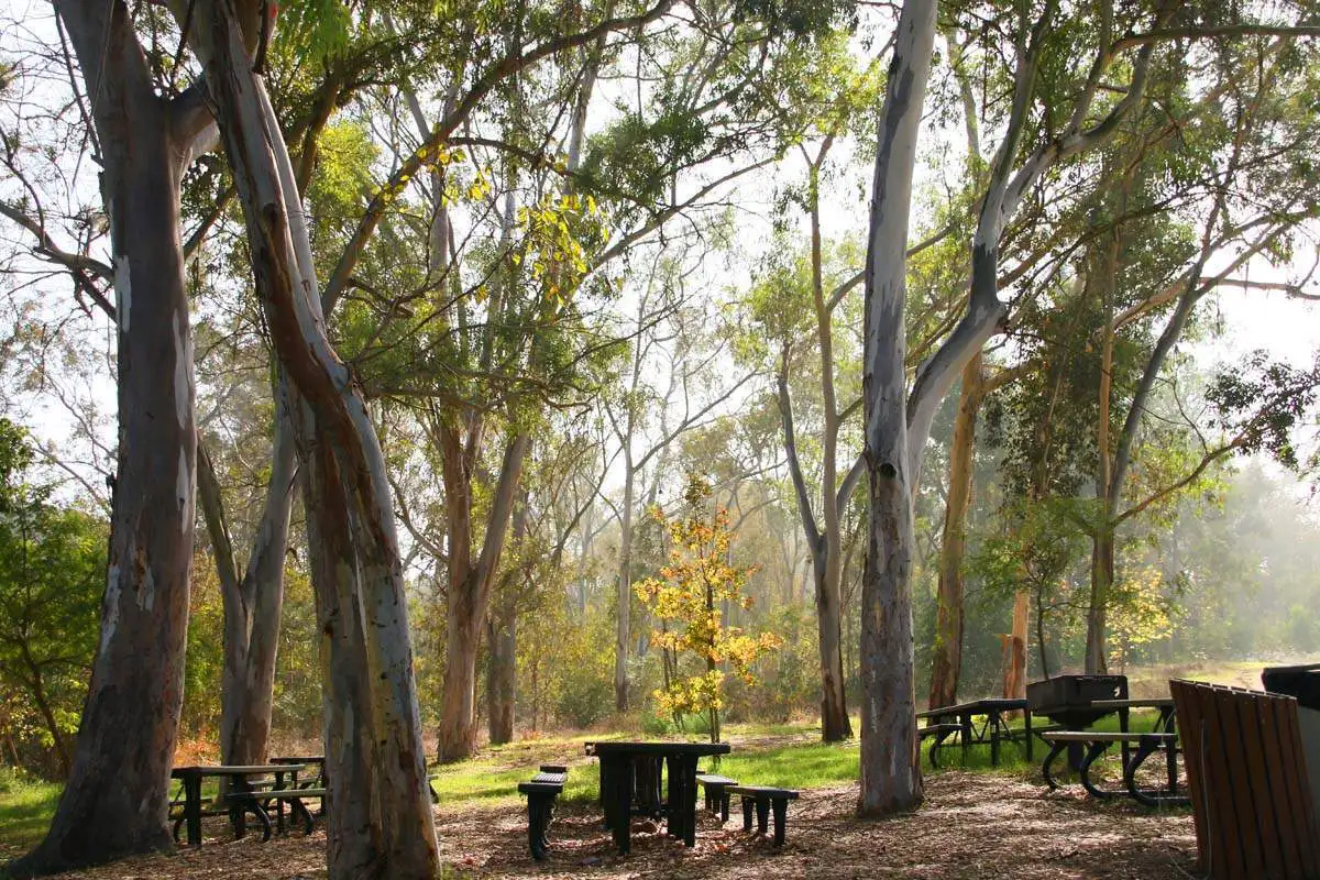 San Dieguito