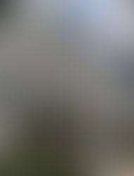 4月・・・ 新年度の始まり・・・