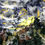 Thumbnail: Suburban Sunset