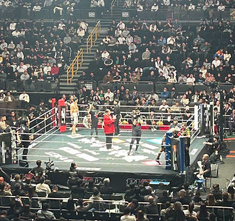 格闘技の試合観戦の様子