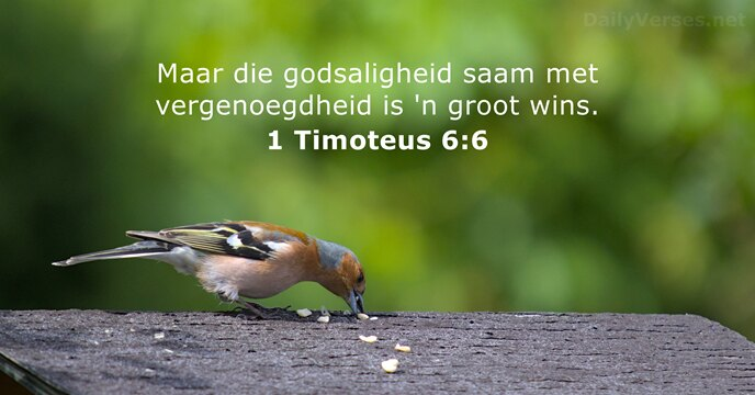 12 Januarie 2026. Weeklikse Manna en  Gebedsversoeke.