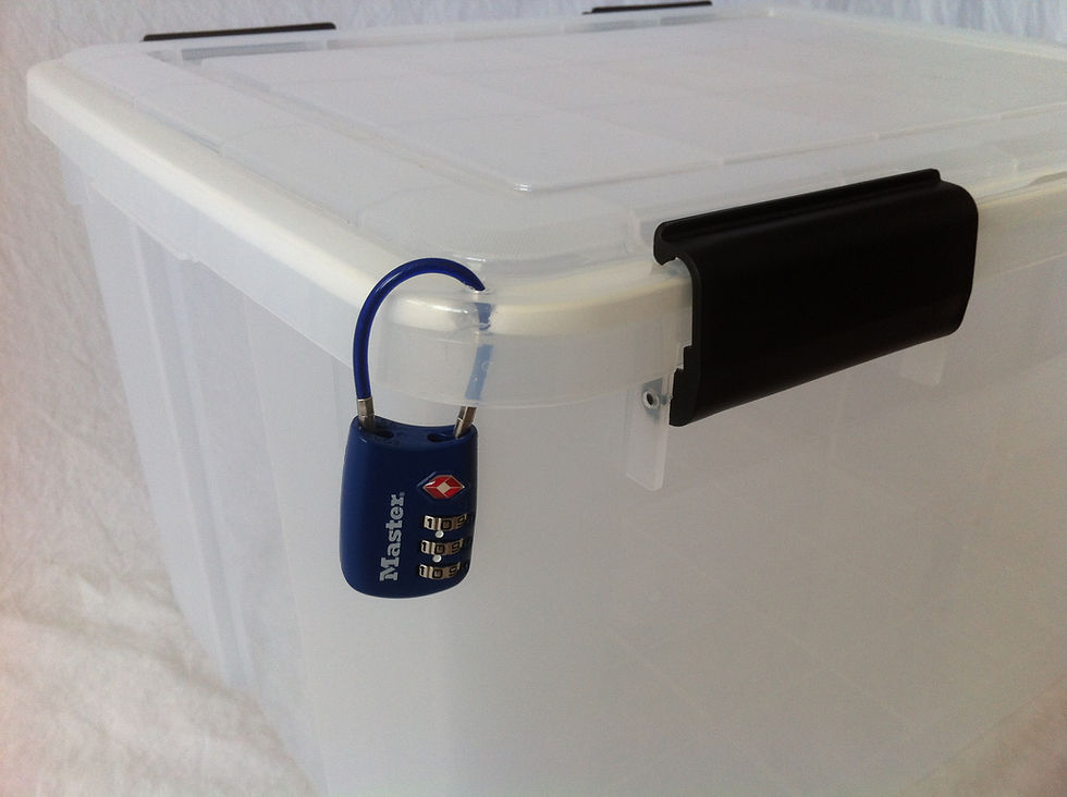 Miniatura: Lockable