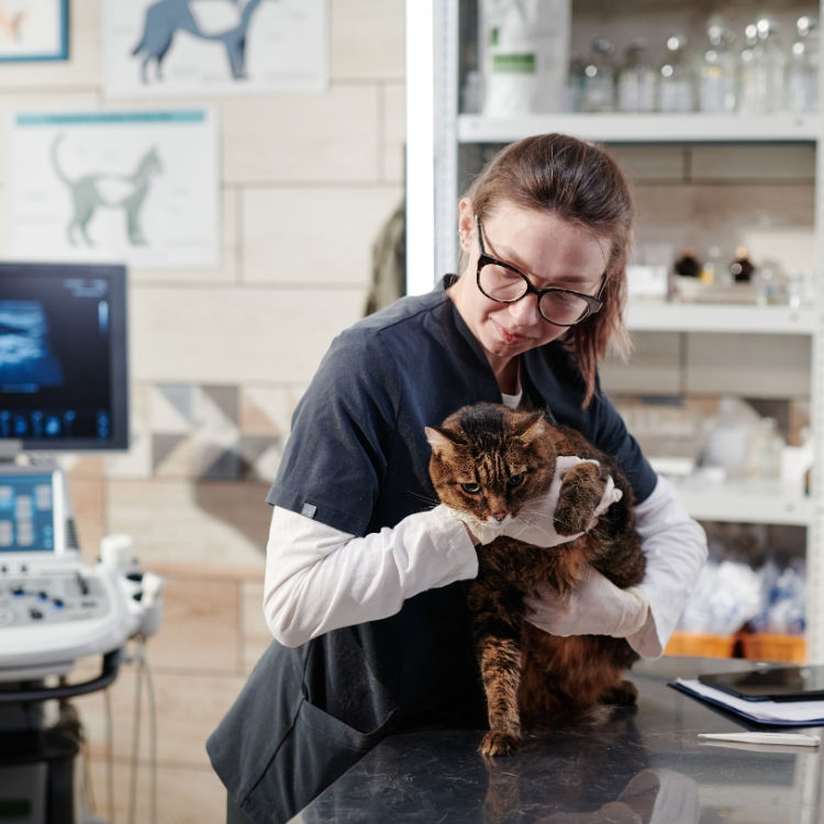 Vet Clinic 2.jpg