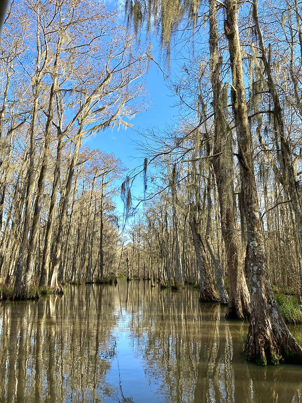 Cajun Enc 1.jpeg