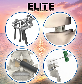 ELITE website TN.png
