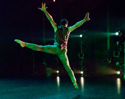 Butterflies and Demons