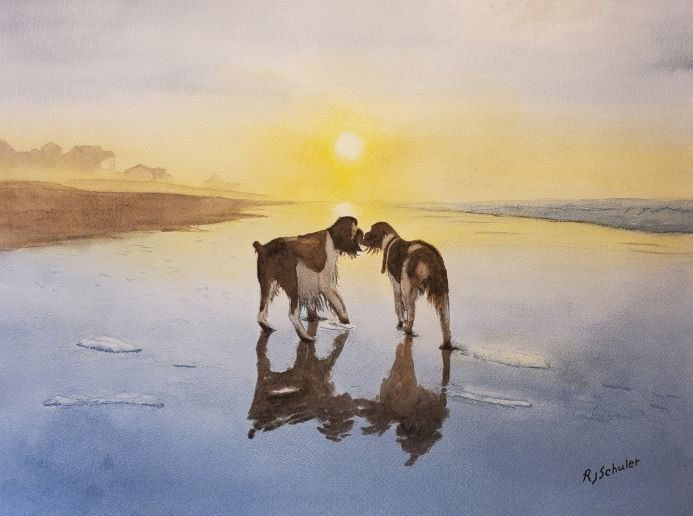 Summer Love by Robert J Schuler