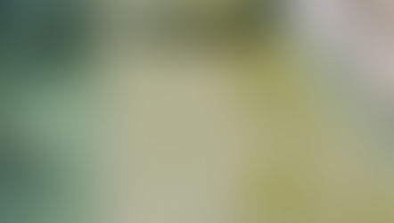 Pool Water Chemistry and Summer Heat?