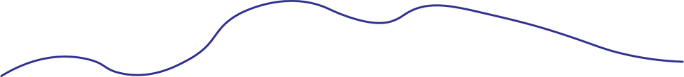 Asset 4_2x.png