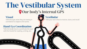 The Vestibular System - Our Body's Internal GPS