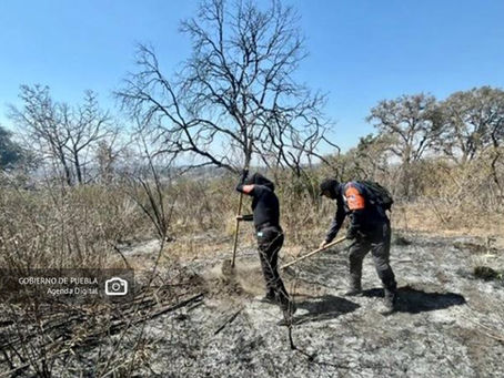 Policía Estatal Forestal controla incendios en Libres y San Pedro Cholula