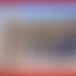 Con enfoque humanista, Célula de Bienestar Animal registra avance del 38%