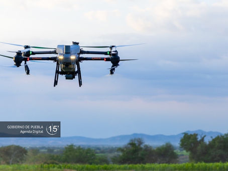 Drones agrícolas atienden de forma oportuna 60 hectáreas de caña en Tepeojuma