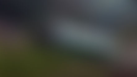 Volcadura de autobús en Veracruz deja al menos ocho muertos y 19 lesionados