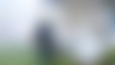 Puebla reduce 91 por ciento los casos de dengue durante 2025