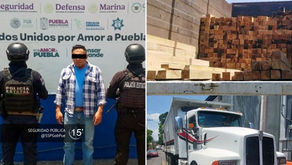 Detiene Policía Forestal a hombre que trasladaba ilegalmente 370 piezas de madera