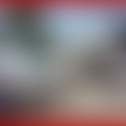 En trabajo coordinado, recuperan fuerzas de seguridad un tractocamión robado