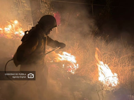 Gobierno de Puebla ha liquidado 88 incendios forestales