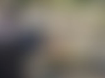 Localizan restos óseos durante acciones de búsqueda en Huauchinango