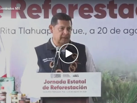 Gobierno Estatal siembra futuro con bosques y agua limpia para las próximas generaciones