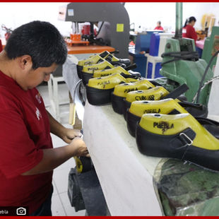 Impulsa gobierno estatal proyecto para procesar piel y fortalecer industria del calzado