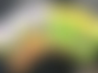 Impulsan gobierno estatal y derechos humanos "El libro de Sofía" para la niñez indígena