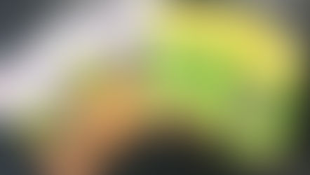 Impulsan gobierno estatal y derechos humanos "El libro de Sofía" para la niñez indígena