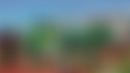 Puebla impulsa al Rugby mexicano con campamento de alto rendimiento