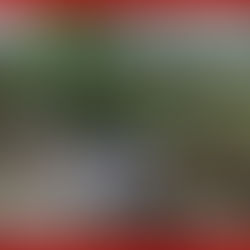 Obra Comunitaria contribuye a mejorar cultivos en Altepexi