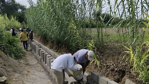 Obra Comunitaria contribuye a mejorar cultivos en Altepexi