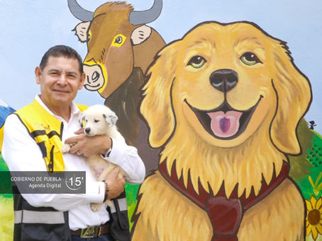 Centro de Bienestar Animal, ejemplo nacional de protección y cuidado a seres sintientes