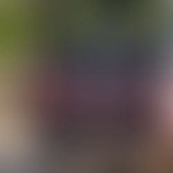 Fiscalía investiga presunto maltrato animal en San Felipe Xochiltepec 