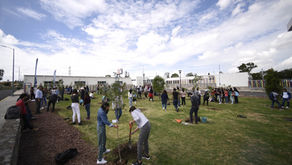 BUAP, segundo lugar nacional en el Ranking Mundial de Universidades UI GreenMetric 2025