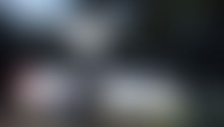 Coordinación entre Puebla y Oaxaca frustra extorsión telefónica y evita pérdida de 200 mil pesos