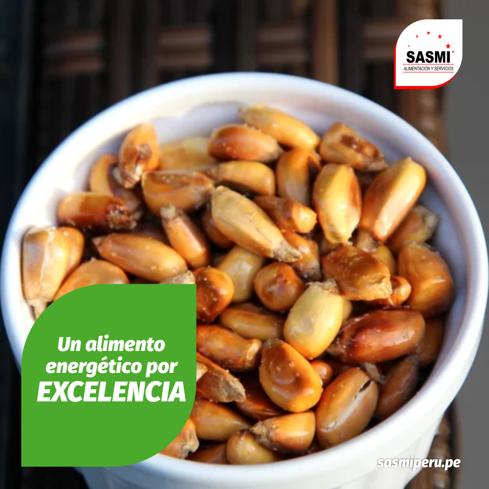 SASMI PERÚ CONCESIONARIO DE ALIMENTOS AREQUIPA