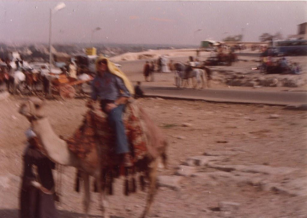 Cairo 1979