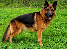 file_000000000c4871f6b85ef3bc8fc45571.png