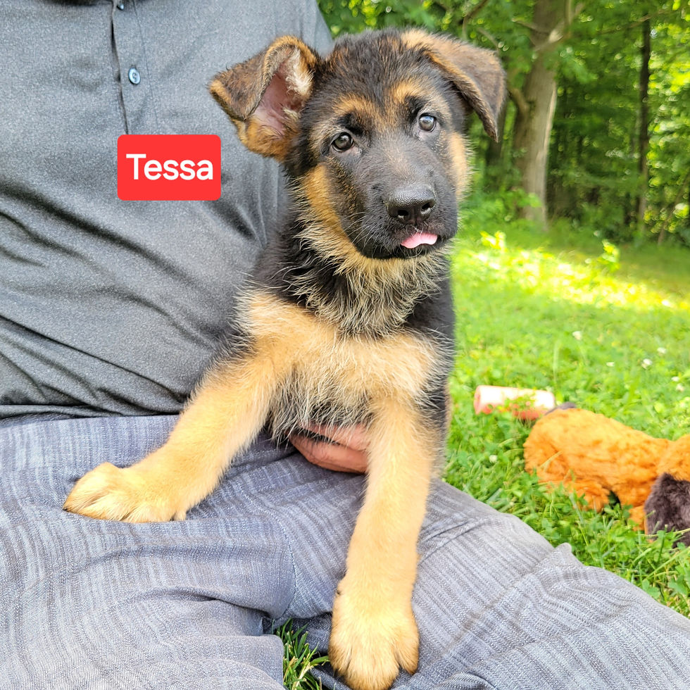 Deposit on Tessa