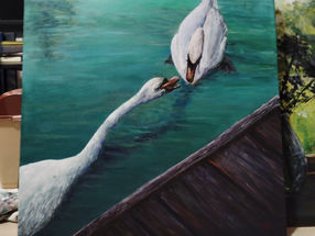 Swans 1