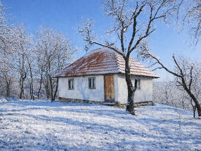 Winter 1