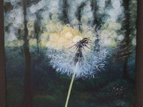 Dandelion 1