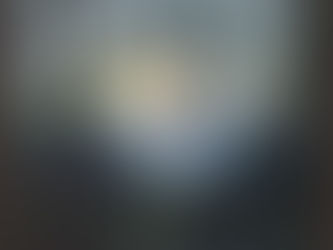 Dandelion 1