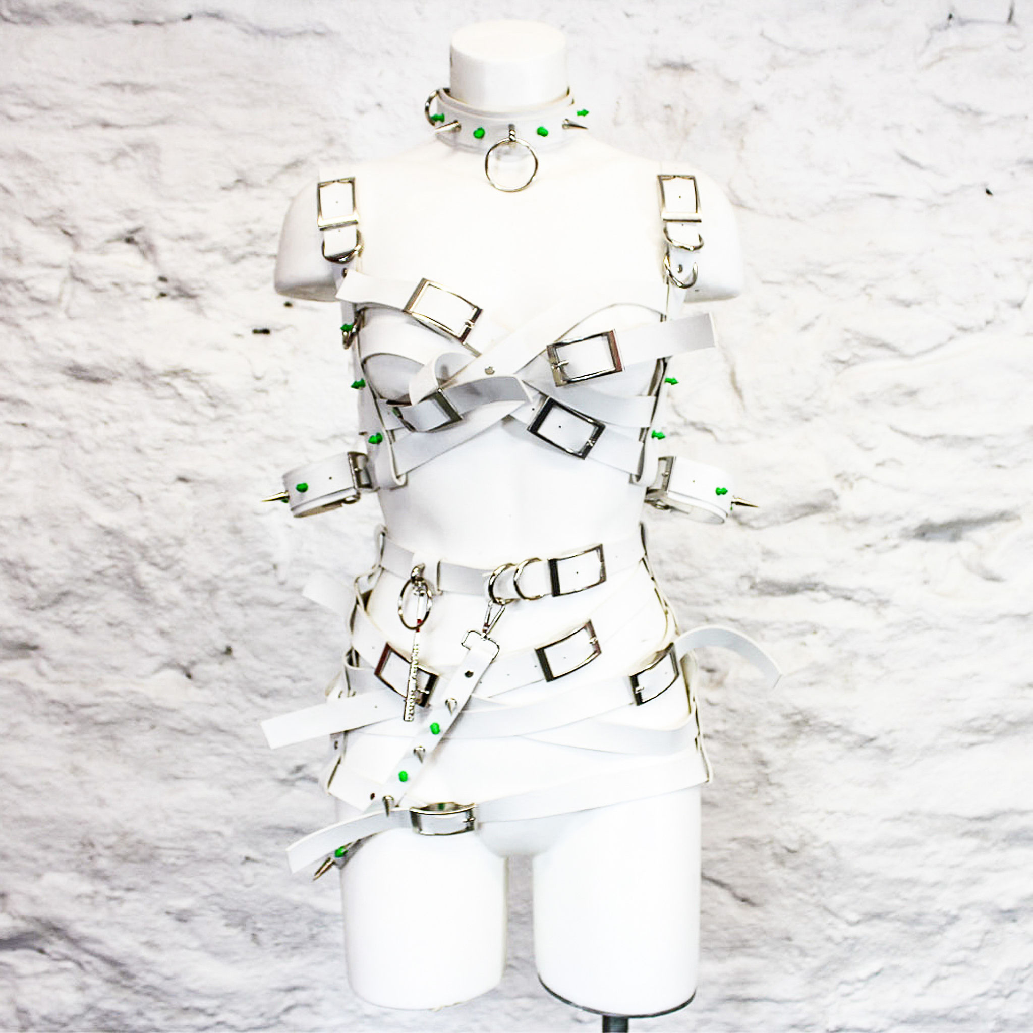 Harley's Asylum Harness Gift Set