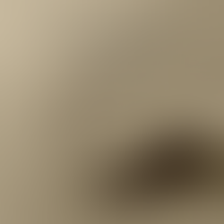 Amor, voluntad y obediencia