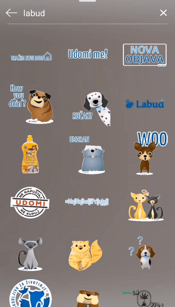 Stories GIF trazilica.gif