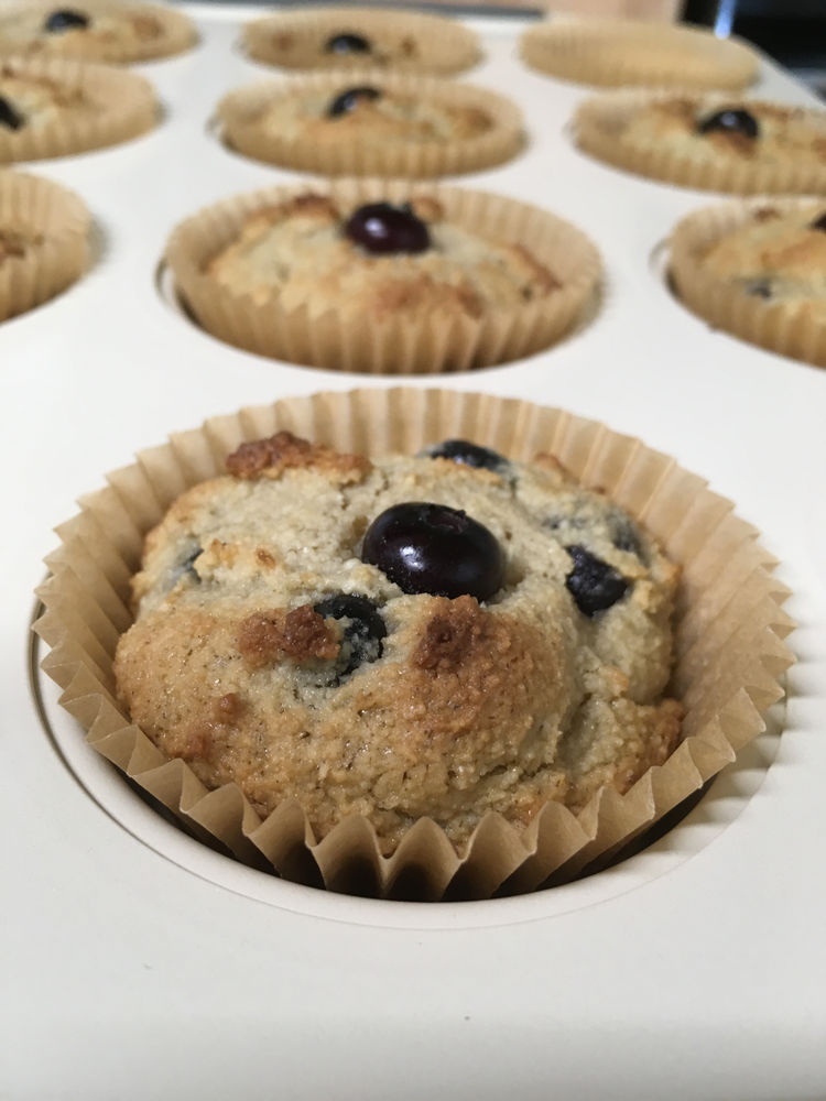 Blueberry Blender Muffins